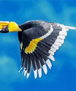 Hornbill Bird Flying Diamond Painting