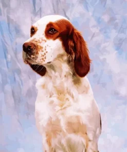 Irish Red And White Setter Diamond Painting
