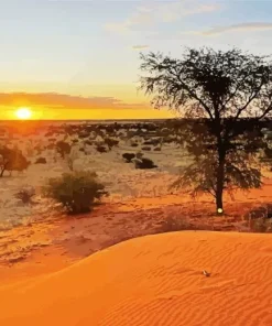 Kalahari Desert Diamond Painting
