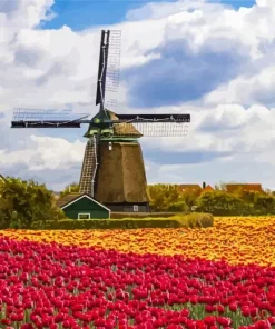 Kinderdijk Tulips Diamond Painting