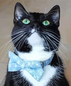 Kitten With Bow Tie Diamond Painting