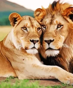 Lion And Lioness Diamond Painting