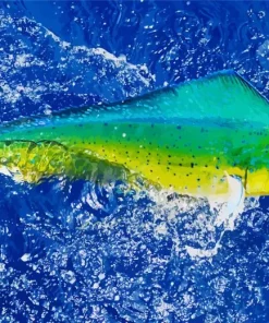 Mahi Mahi Fish Diamond Painting