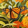 Monarch Butterfly Art Diamond Painting