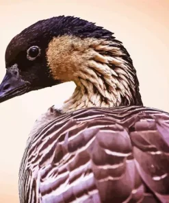 Nene Bird Diamond Painting