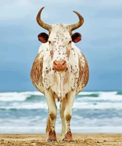 Nguni Cattle Diamond Painting