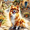 Pomeranian Puppy Diamond Painting