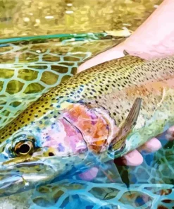 Rainbow Trout Fish Diamond Painting
