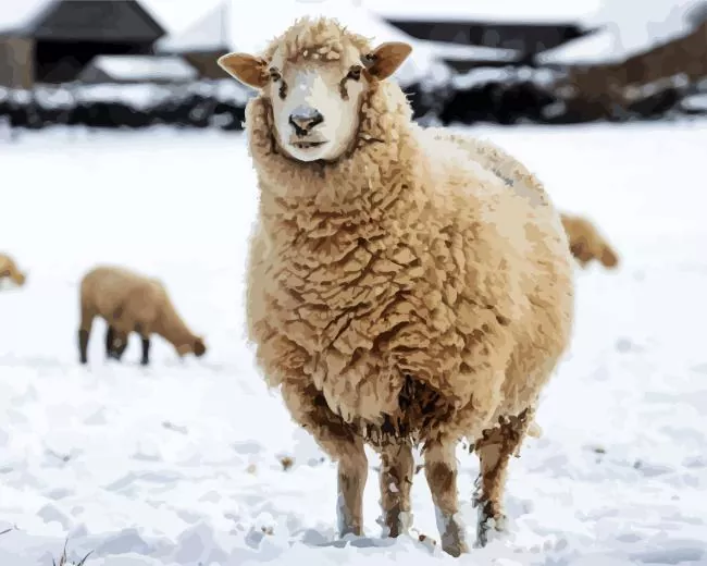 sheep in snow Diamond With Numbers Sheep In Snow Diamond Painting