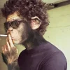 Smoking Monkey Diamond Painting