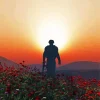 Soldier In Poppy Field Diamond Painting
