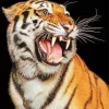 Aesthetic Tiger Roaring Diamond Painting