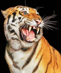 Aesthetic Tiger Roaring Diamond Painting
