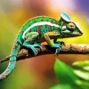 Veiled Chameleon Reptile Diamond Painting