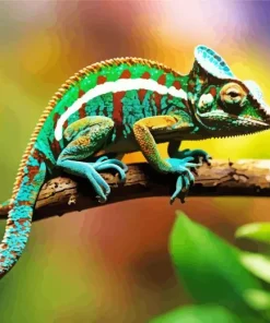 Veiled Chameleon Reptile Diamond Painting