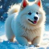 White Dog In Snow Diamond Painting