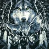Wolf Dream Catcher Diamond Painting