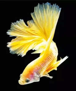 Yellow Betta Fish Diamond Painting