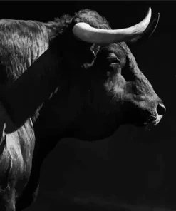 Black And White Bull Diamond Painting