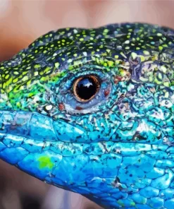 European Green Lizard Diamond Painting