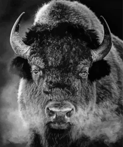 Black And White Buffalo Diamond Painting