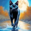 Black Cat Blue Eyes Diamond Painting