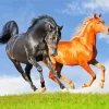Brown And Black Horses Diamond Painting