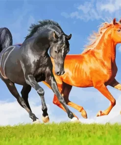 Brown And Black Horses Diamond Painting