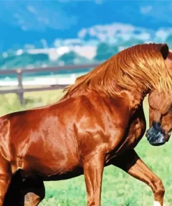 Brown Arabian Horse Diamond Painting