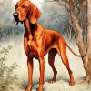 Brown Coonhound Dog Diamond Painting