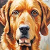 Brown Dog Face Diamond Painting