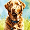 Brown English Labrador Dog Diamond Painting