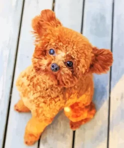 Brown Fluffy Poodle Diamond Painting