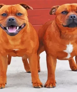 Brown Stafford Dogs Diamond Painting