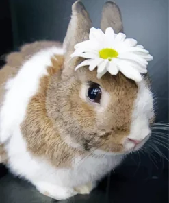 Bunny And Flower Diamond Painting