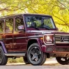 Burgundy Mercedes Diamond Painting