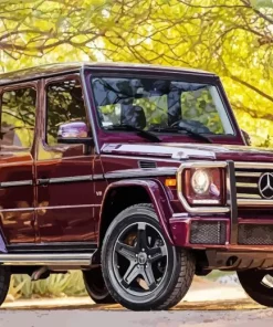 Burgundy Mercedes Diamond Painting