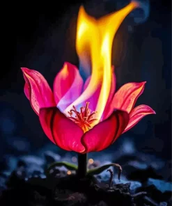 Burning Flower Diamond Painting