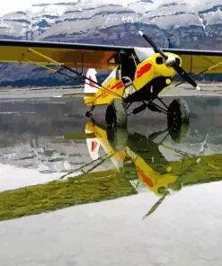 Bush Plane Diamond Painting