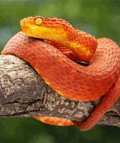 Bush Snake Diamond Painting