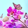 Butterflies And Orchids Diamond Painting