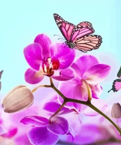 Butterflies And Orchids Diamond Painting