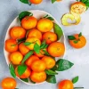 Clementine Fresh Fruit Diamond Painting