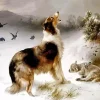 Collie And Lamb In Snow Diamond Painting