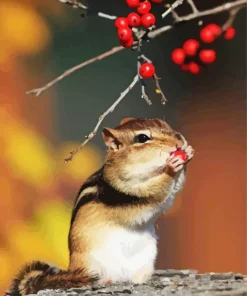 Colorado Chipmunk Diamond Painting