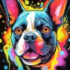Colorful Boston Terrier Head Diamond Painting