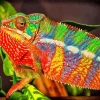 Colorful Panther Chameleon Diamond Painting