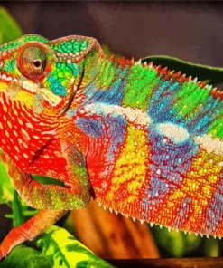 Colorful Panther Chameleon Diamond Painting