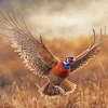 Flying Pheasant Diamond Painting