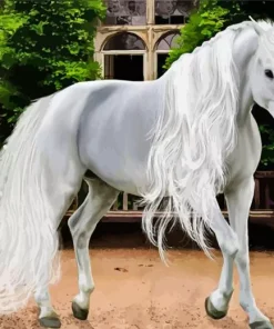 Friesian Albino Diamond Painting
